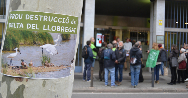 Exigeixen que es faci efectiva l’ampliació del ZEPA al Delta del Llobregat