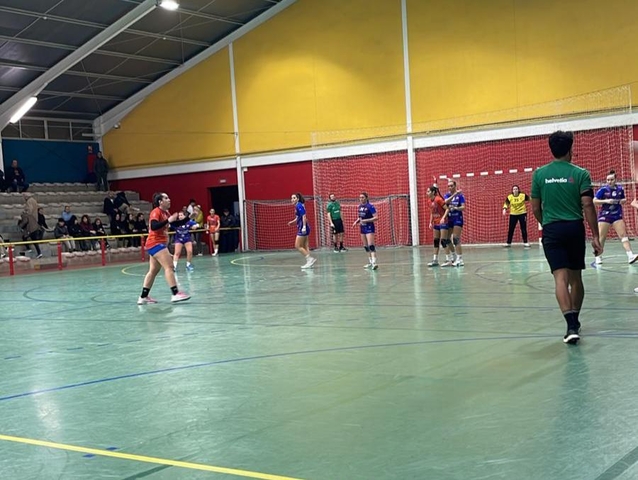 ESPORTS (HANDBOL, DIVISIÓ D’HONOR PLATA FEM.): Victòries de Sant Joan Despí i Sant Vicenç i derrota gavanenca