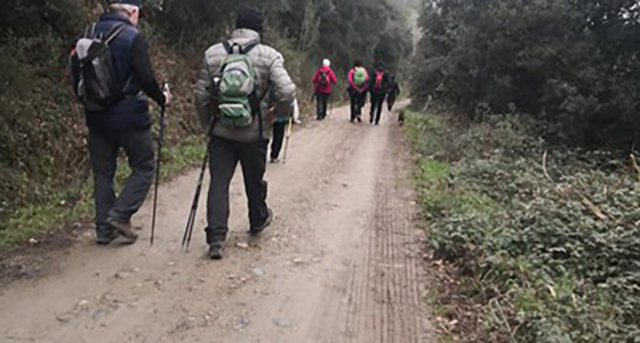 La participació és lliure i pot ser tant individual com col·lectiva