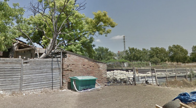 Roben vint-i-sis xais d’una masia del Prat de Llobregat