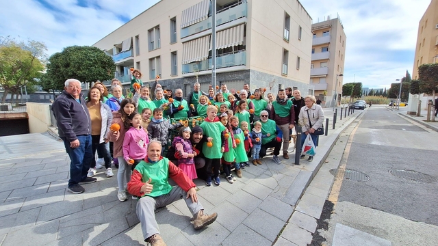 SOCIETAT: La primera espigolada de tarongers urbans de Viladecans recull més d’un miler de quilograms de fruita per fer melmelada