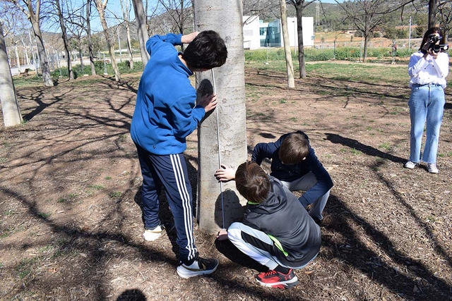  MEDI AMBIENT: Prop 700 escolars viladecanencs mesuren els arbres per quantificar el carboni que emmagatzemen