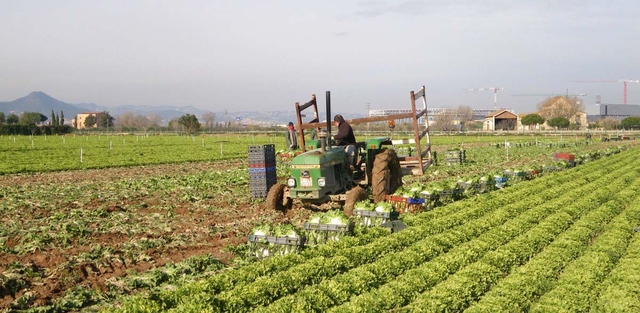 La Xarxa de Bancs de Terres de Catalunya és una iniciativa pionera a Europa que la Diputació de Barcelona cofinança des de l'any 2018 en el marc del programa BCN Smart Rural