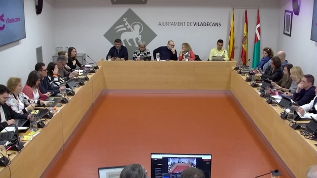 Ple municipal de Viladecans