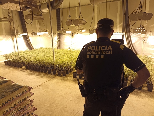 SUCCESSOS: La Policia Local de Sant Vicenç dels Horts deté tres persones en detectar una plantació de marihuana