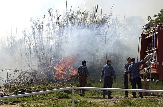 SUCCESSOS: Un incendi a Gavà crema poc més de 300 metres quadrats de canyes
