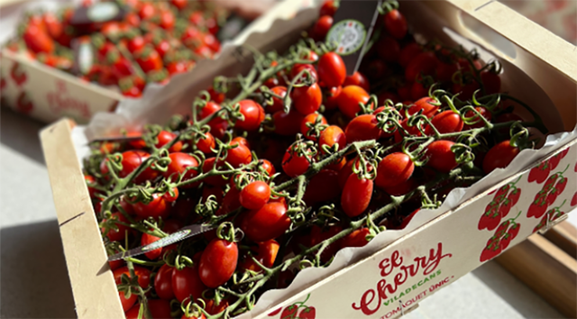 Fruiteries i verduleries de Viladecans promouen els productes de proximitat