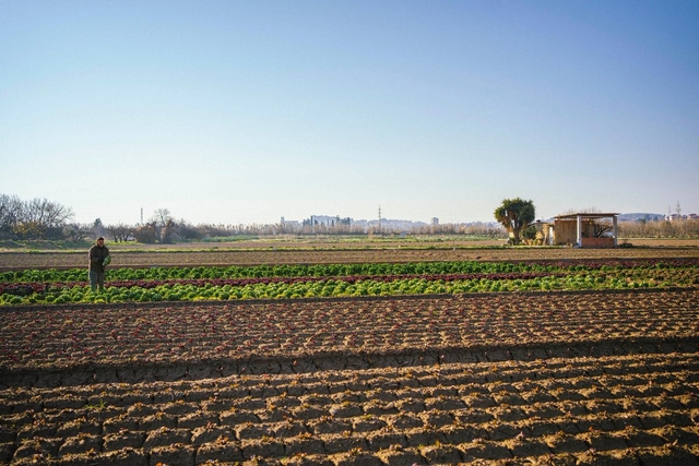 Unió de Pagesos impugna el projecte d'ampliació de la ZEPA del Delta
