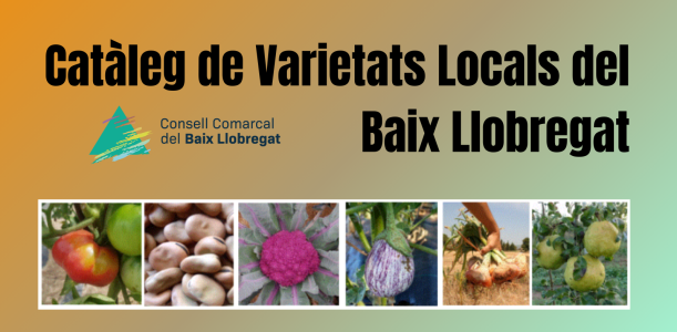 MEDI AMBIENT: El Consell Comarcal presenta el nou Catàleg de Varietats Locals per preservar el patrimoni agrícola del Baix Llobregat