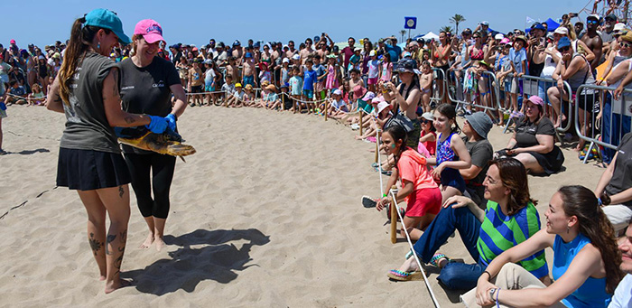 Alliberen cinc exemplars de tortuga Babaua al Prat de Llobregat