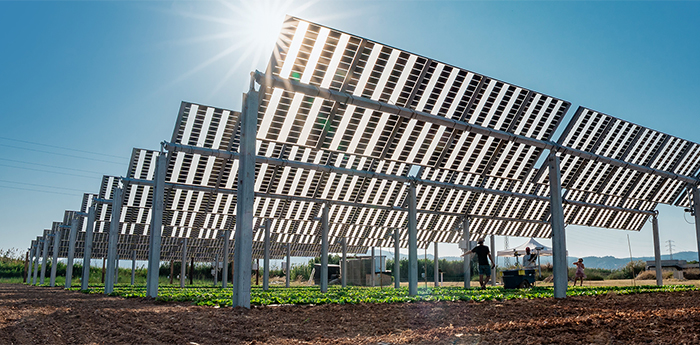 S'inaugura a l'Agròpolis (UPC) la primera planta agrivoltaica de Catalunya