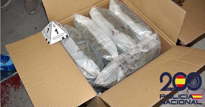 Desmantellen una organització criminal dedicada al tràfic de drogues