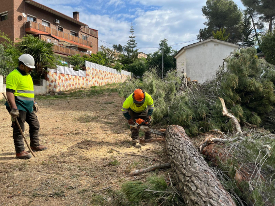 El Baix Llobregat lidera la inversió provincial per blindar les urbanitzacions contra el foc