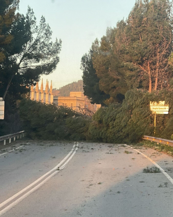 El Baix Llobregat, paralitzat per la borrasca Nils: balanç d'incidències a tota la comarca