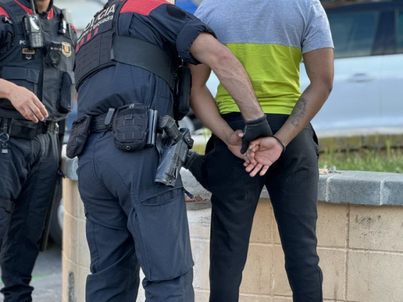 Els Mossos desmantellen tres plantacions de marihuana i detenen cinc membres d'un grup criminal internacional