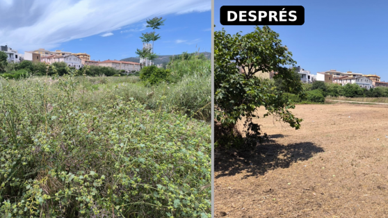 Sant Vicenç dels Horts reactiva nou hectàrees de terreny agrari en desús
