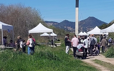Cornellà celebra l'11a Festa del Riu per reivindicar el valor ecològic del Llobregat 
