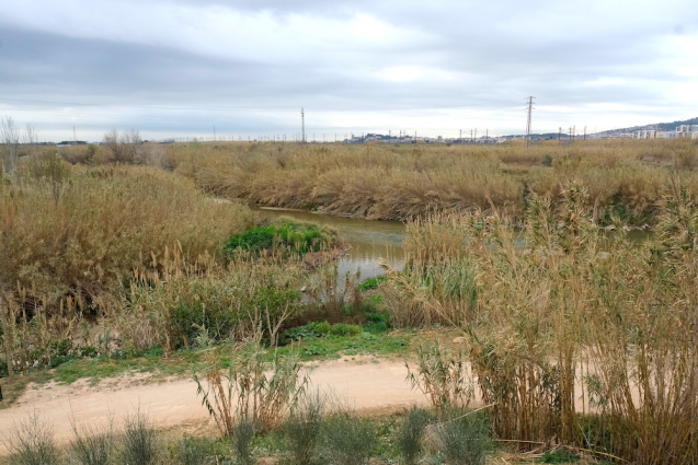 Sant Joan Despí inicia les obres per transformar i recuperar el seu front fluvial al riu Llobregat