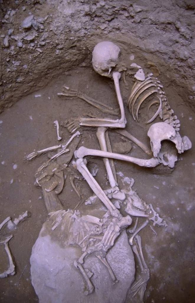 20.000 anys de pràctiques funeràries a la prehistòria s’apleguen a Gavà