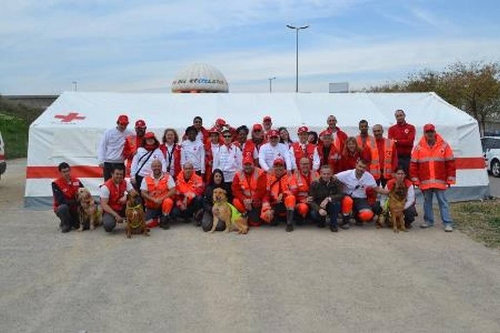 SUCCESSOS: Una vintena de dotacions dels Bombers treballen en un incendi declarat als marges de la C-1414 a Esparreguera