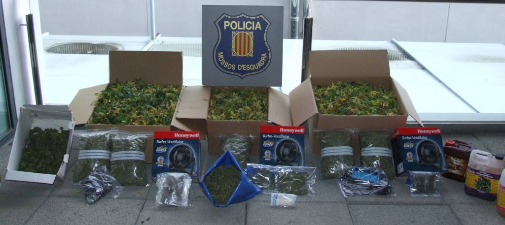 Els Mossos desmantellen un punt de venda i cultiu de marihuana a Sant Andreu de la Barca