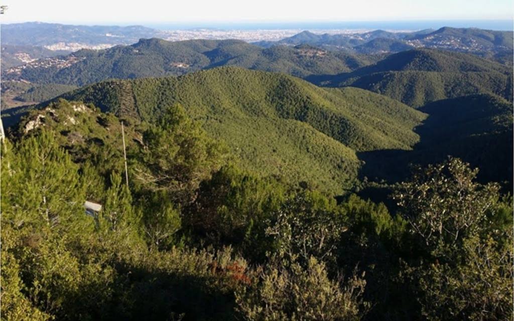 Jornada oberta per conèixer millor els boscos del Baix Llobregat