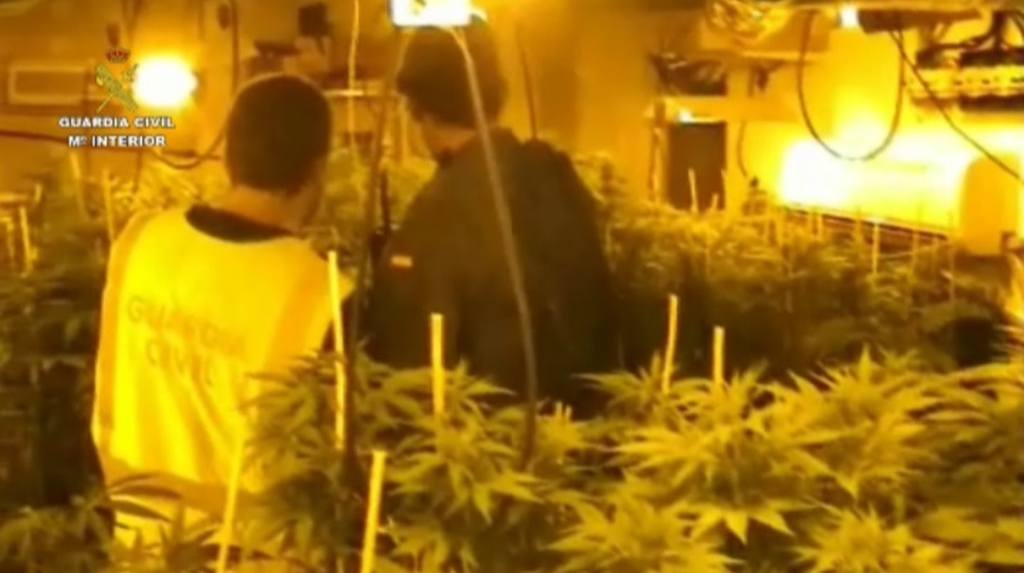 La Guàrdia Civil desmantella una plantació de marihuana en un habitatge de Collbató