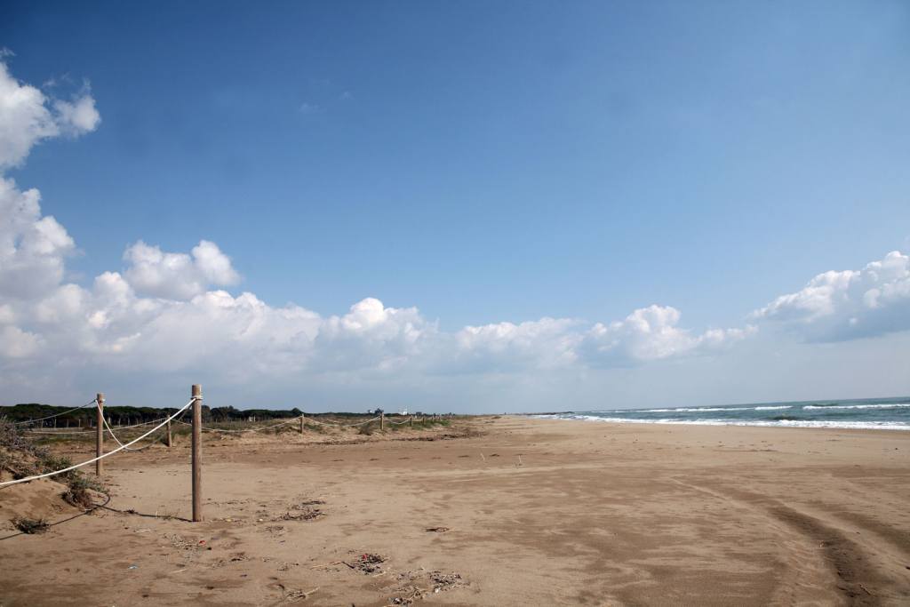 ERC insta a aconseguir la Bandera Blava a les platges de la Murtra i la Pineda