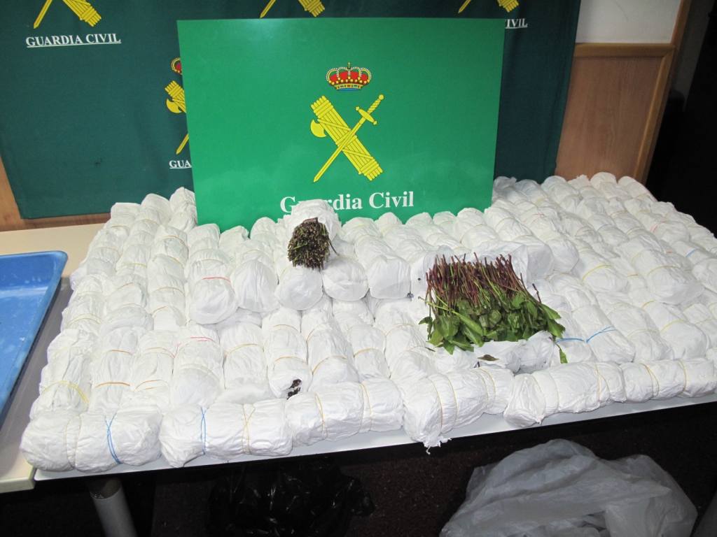 La Guàrdia Civil intervé 170 quilos de la droga a l’aeroport