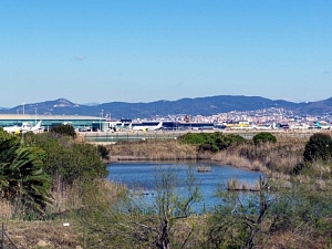 La Ricarda i l'Aeroport Josep Tarradellas Barcelona-El Prat
