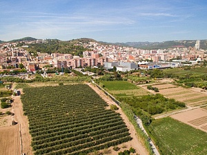 L'Ajuntament de Sant Vicenç dels Horts ha encarregat la redacció d'un inventari de terrenys agrícoles