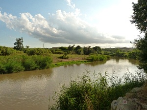 Riu Llobregat