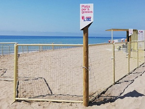 La platja per a gossos estarà oberta cada dia de la setmana fins a l’11 de setembre, de 10 a 20 hores