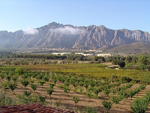 El Parc Rural del Montserrat és un projecte creat per desenvolupar l'activitat agroalimentària dels municipis que envolten la muntanya de Montserrat