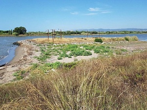 Franja de sediments entre l'illa del Molí i el marge esquerre del riu Llobregat