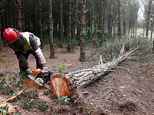 La conferència col·loqui que porta per títol “És possible la gestió forestal al Baix Llobregat?”.