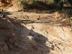 Investigadors de la Institució Milà i Fontanals de Recerca en Humanitats (IMF) del Consell Superior d'Investigacions Científiques (CSIC) han descobert noves mines del neolític a l'excavació arqueològica de Gavà