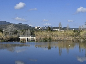 La inclusió de l’Olla del Rei, a Castelldefels dins de la Zona ZEPA es produeix després d’un llarg procés d’al·legacions i demandes iniciades per DEPANA