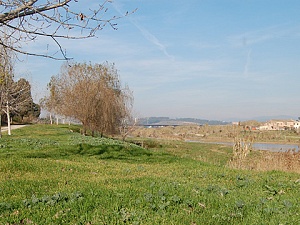 El riu Llobregat al seu pas pel municipi de Pallejà