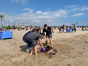 La Fundació CRAM de recuperació d'animals marins del Mediterrani ha retornat al mar a la platja del Prat de Llobregat dues tortugues que han recuperat la visió parcialment 