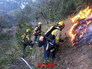 Els bombers han hagut de treballar de valent