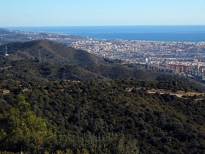 La Generalitat ha aprovat definitivament aquest dimarts el Pla especial de protecció del medi natural i del paisatge del Parc Natural de la Serra de Collserola