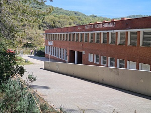 Institut Mediterrània (Castelldefels)