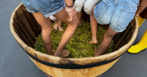 Begues celebra la Festa del Most amb activitats tradicionals i tast de vins